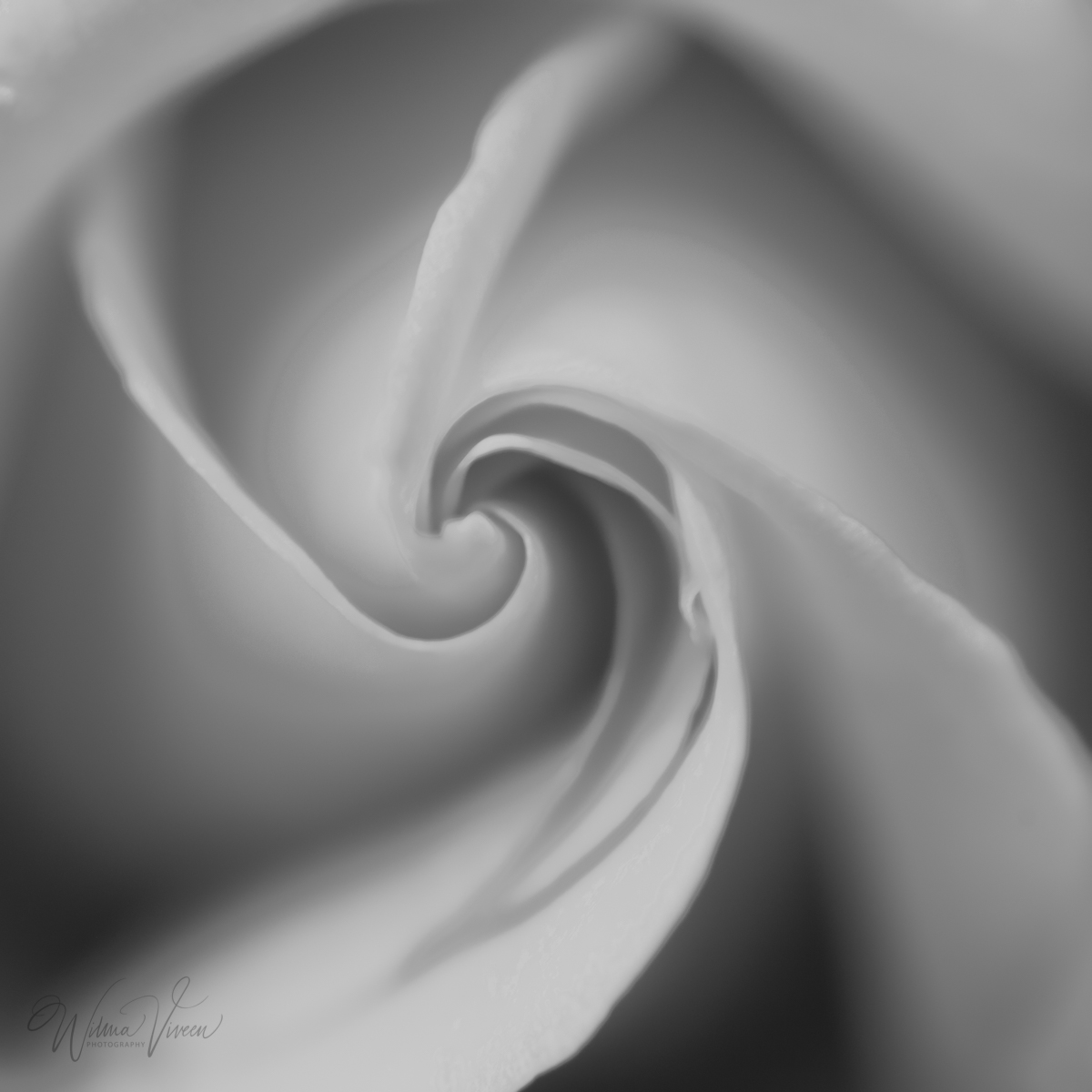 20180602_naamloos_6718-bewerkt-8