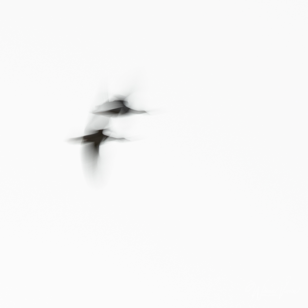 20180918_naamloos_4505